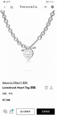 Tiffany necklace lyh20 (3)